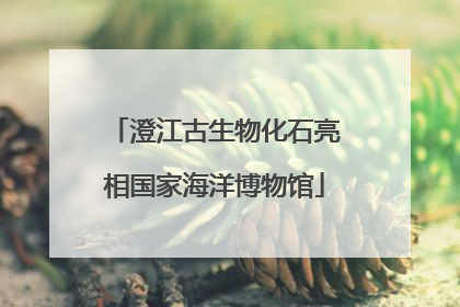 澄江古生物化石亮相国家海洋博物馆