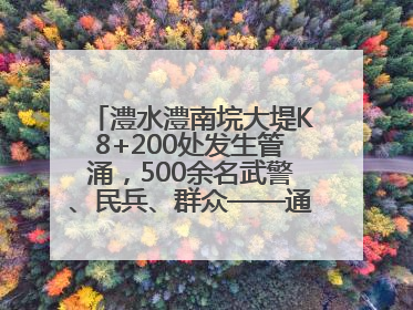 澧水澧南垸大堤K8+200处发生管涌，500余名武警、民兵、群众——通宵达旦战管涌