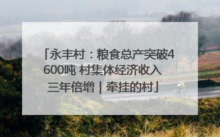 永丰村：粮食总产突破4600吨 村集体经济收入三年倍增｜牵挂的村