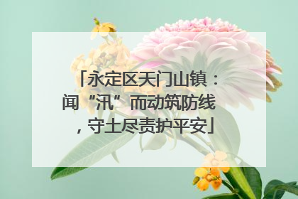 永定区天门山镇：闻“汛”而动筑防线，守土尽责护平安