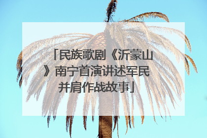 民族歌剧《沂蒙山》南宁首演讲述军民并肩作战故事