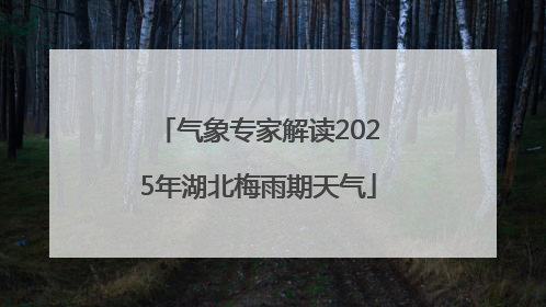 气象专家解读2025年湖北梅雨期天气