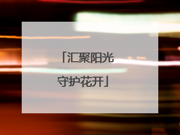 汇聚阳光 守护花开