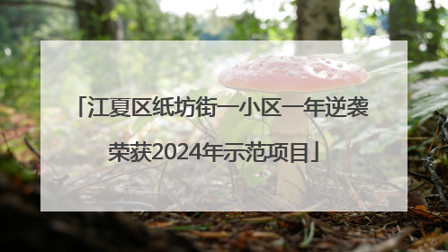 江夏区纸坊街一小区一年逆袭 荣获2024年示范项目