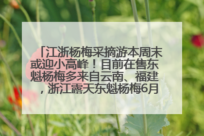 江浙杨梅采摘游本周末或迎小高峰！目前在售东魁杨梅多来自云南、福建，浙江露天东魁杨梅6月中旬大量上市