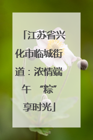 江苏省兴化市临城街道：浓情端午 “粽”享时光