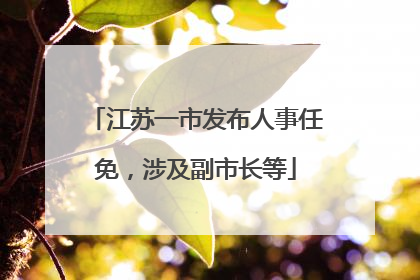 江苏一市发布人事任免，涉及副市长等