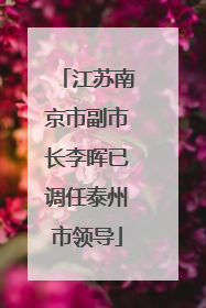 江苏南京市副市长李晖已调任泰州市领导
