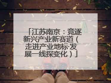 江苏南京：竞逐新兴产业新赛道（走进产业地标·发展一线探变化）