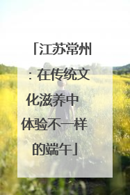 江苏常州：在传统文化滋养中 体验不一样的端午