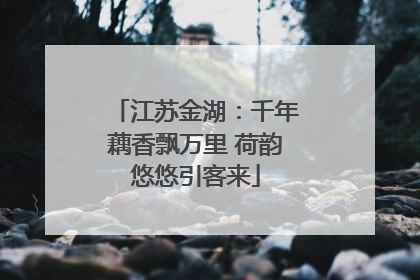 江苏金湖：千年藕香飘万里 荷韵悠悠引客来