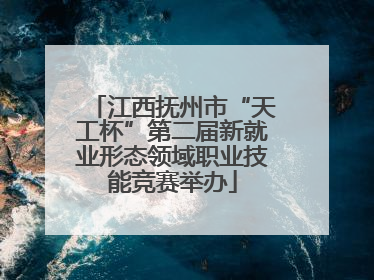 江西抚州市“天工杯”第二届新就业形态领域职业技能竞赛举办