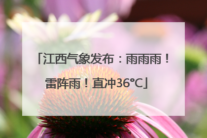江西气象发布：雨雨雨！雷阵雨！直冲36°C