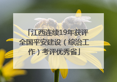 江西连续19年获评全国平安建设（综治工作）考评优秀省