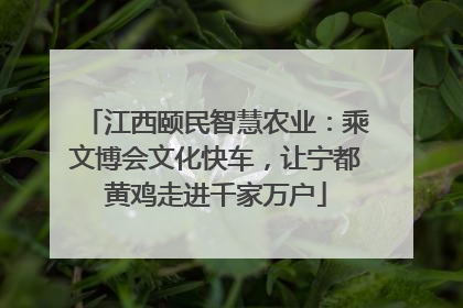 江西颐民智慧农业：乘文博会文化快车，让宁都黄鸡走进千家万户