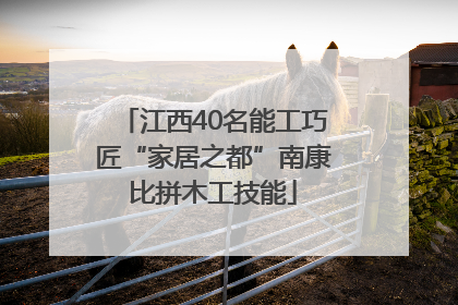 江西40名能工巧匠“家居之都”南康比拼木工技能