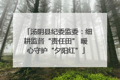 汤阴县纪委监委：细耕监督“责任田” 暖心守护“夕阳红”
