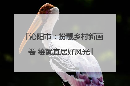 沁阳市：扮靓乡村新画卷 绘就宜居好风光