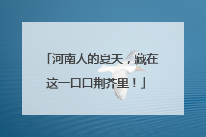 河南人的夏天，藏在这一口口荆芥里！