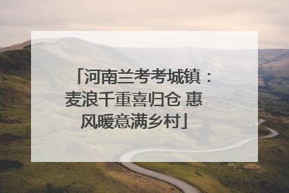 河南兰考考城镇：麦浪千重喜归仓 惠风暖意满乡村