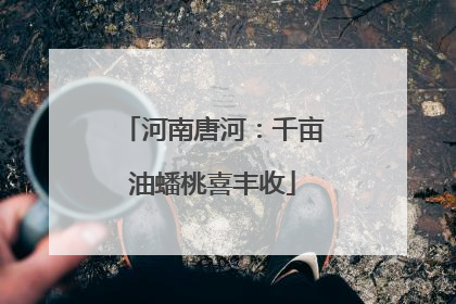 河南唐河：千亩油蟠桃喜丰收