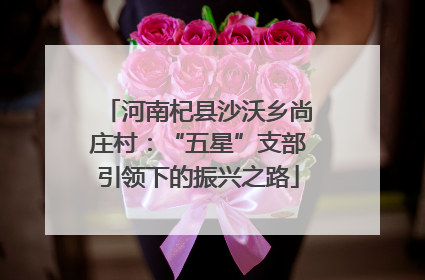 河南杞县沙沃乡尚庄村：“五星”支部引领下的振兴之路