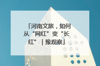 河南文旅，如何从“网红”变“长红”｜豫观察