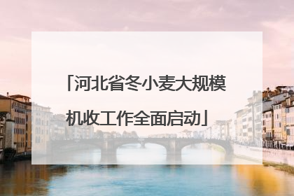 河北省冬小麦大规模机收工作全面启动
