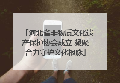 河北省非物质文化遗产保护协会成立 凝聚合力守护文化根脉