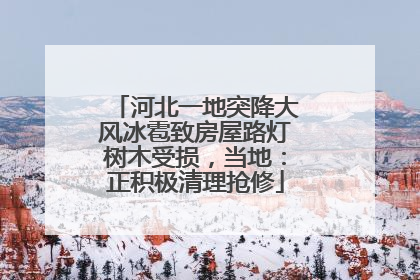 河北一地突降大风冰雹致房屋路灯树木受损，当地：正积极清理抢修