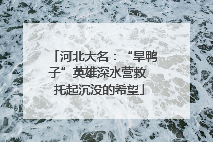 河北大名：“旱鸭子”英雄深水营救 托起沉没的希望