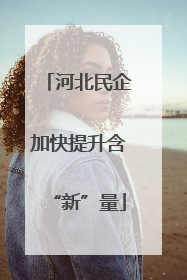 河北民企加快提升含“新”量