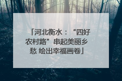 河北衡水：“四好农村路”串起美丽乡愁 绘出幸福画卷