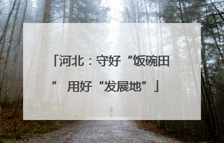 河北：守好“饭碗田” 用好“发展地”