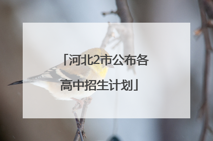 河北2市公布各高中招生计划