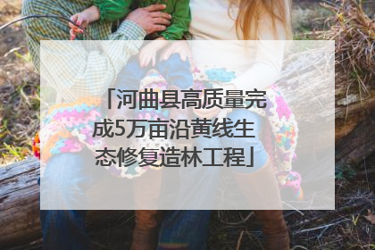 河曲县高质量完成5万亩沿黄线生态修复造林工程