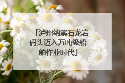 泸州纳溪石龙岩码头迈入万吨级船舶作业时代