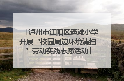 泸州市江阳区通滩小学开展“校园周边环境清扫”劳动实践志愿活动