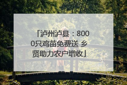 泸州泸县：8000只鸡苗免费送 乡贤助力农户增收