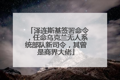泽连斯基签署命令，任命乌克兰无人系统部队新司令，其曾是商界大佬