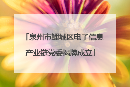 泉州市鲤城区电子信息产业链党委揭牌成立