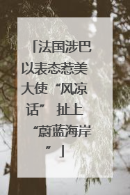 法国涉巴以表态惹美大使“风凉话” 扯上“蔚蓝海岸”