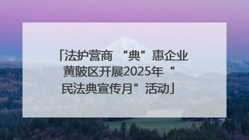 法护营商 “典”惠企业 黄陂区开展2025年“民法典宣传月”活动