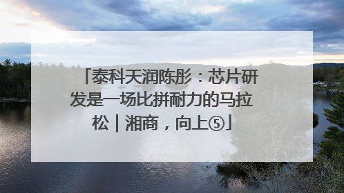 泰科天润陈彤：芯片研发是一场比拼耐力的马拉松｜湘商，向上⑤