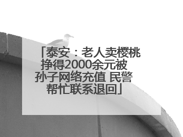 泰安：老人卖樱桃挣得2000余元被孙子网络充值 民警帮忙联系退回
