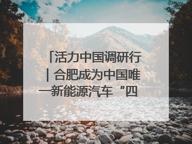 活力中国调研行｜合肥成为中国唯一新能源汽车“四试点”城市