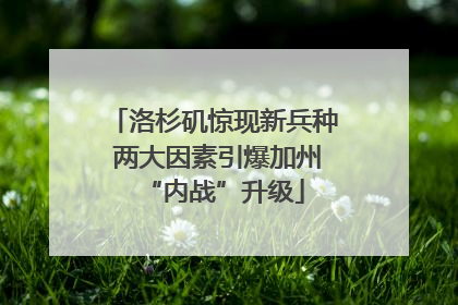 洛杉矶惊现新兵种 两大因素引爆加州“内战”升级