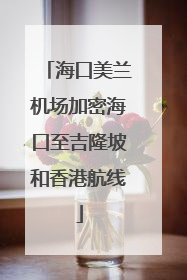 海口美兰机场加密海口至吉隆坡和香港航线