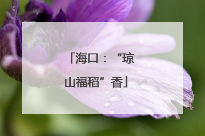 海口：“琼山福稻”香