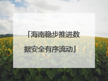海南稳步推进数据安全有序流动